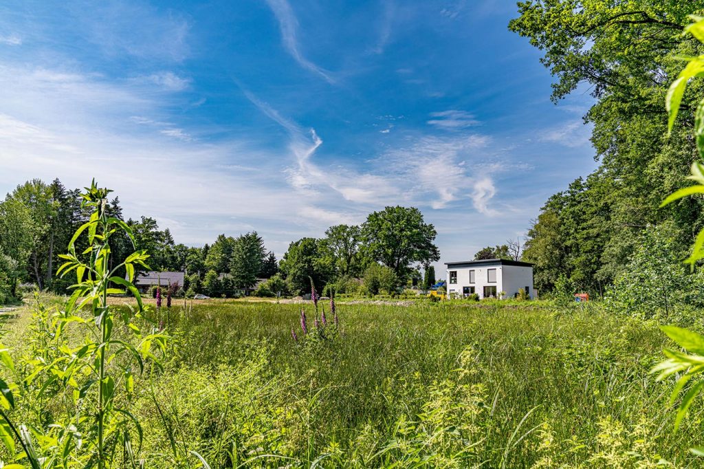 Wohngebiet östlich der Moorstraße